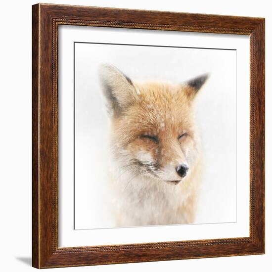 Satisfied-Doris Reindl-Framed Photographic Print