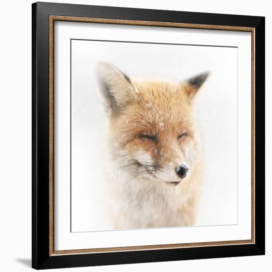 Satisfied-Doris Reindl-Framed Photographic Print