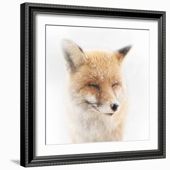 Satisfied-Doris Reindl-Framed Photographic Print