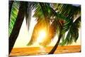 Premium Photographic Print