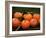 Satsuma Tangerines I-Rachel Perry-Framed Photographic Print