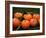 Satsuma Tangerines I-Rachel Perry-Framed Photographic Print