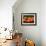 Satsuma Tangerines I-Rachel Perry-Framed Photographic Print displayed on a wall
