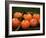 Satsuma Tangerines I-Rachel Perry-Framed Photographic Print