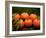 Satsuma Tangerines II-Rachel Perry-Framed Photographic Print