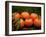 Satsuma Tangerines II-Rachel Perry-Framed Photographic Print