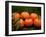 Satsuma Tangerines II-Rachel Perry-Framed Photographic Print