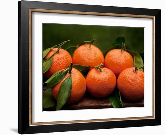 Satsuma Tangerines II-Rachel Perry-Framed Photographic Print