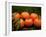 Satsuma Tangerines II-Rachel Perry-Framed Photographic Print