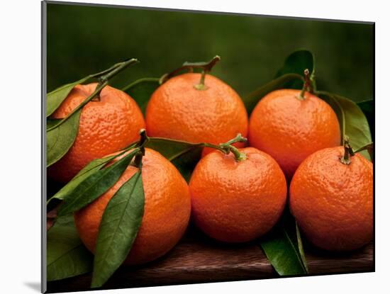 Satsuma Tangerines II-Rachel Perry-Mounted Photographic Print