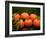 Satsuma Tangerines II-Rachel Perry-Framed Photographic Print