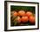 Satsuma Tangerines II-Rachel Perry-Framed Photographic Print