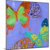 Saturated Butterflies IV-Sisa Jasper-Mounted Art Print