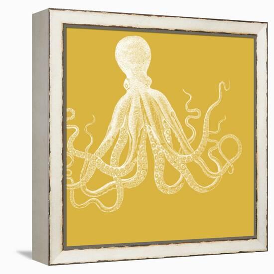 Saturated Sea Life I-Vision Studio-Framed Stretched Canvas