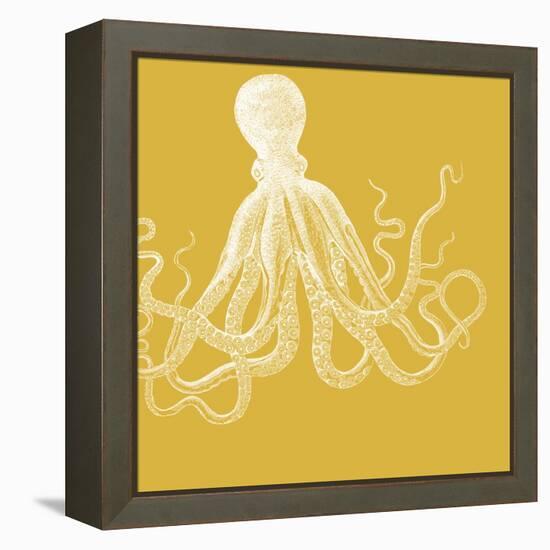 Saturated Sea Life I-Vision Studio-Framed Stretched Canvas