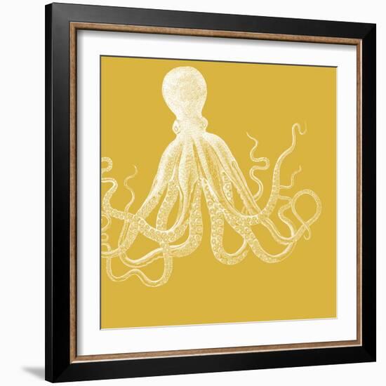 Saturated Sea Life I-Vision Studio-Framed Art Print