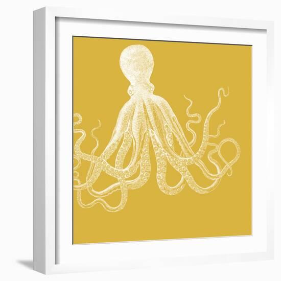 Saturated Sea Life I-Vision Studio-Framed Art Print