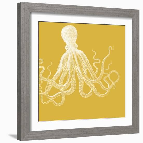 Saturated Sea Life I-Vision Studio-Framed Premium Giclee Print