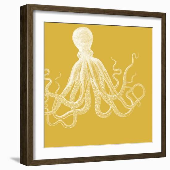 Saturated Sea Life I-Vision Studio-Framed Premium Giclee Print