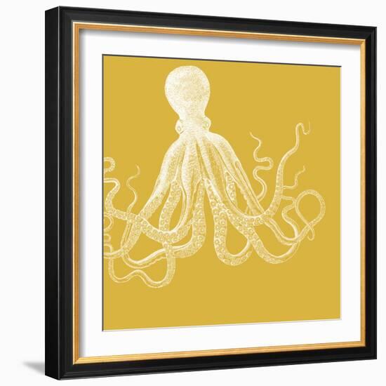 Saturated Sea Life I-Vision Studio-Framed Premium Giclee Print