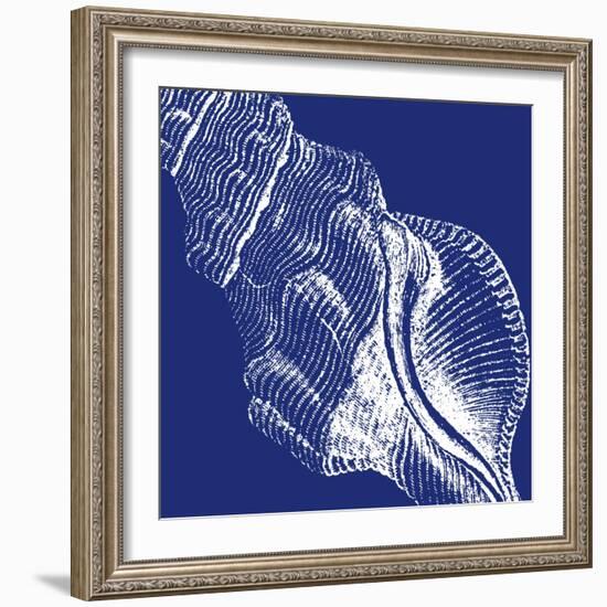 Saturated Shells III-Vision Studio-Framed Art Print