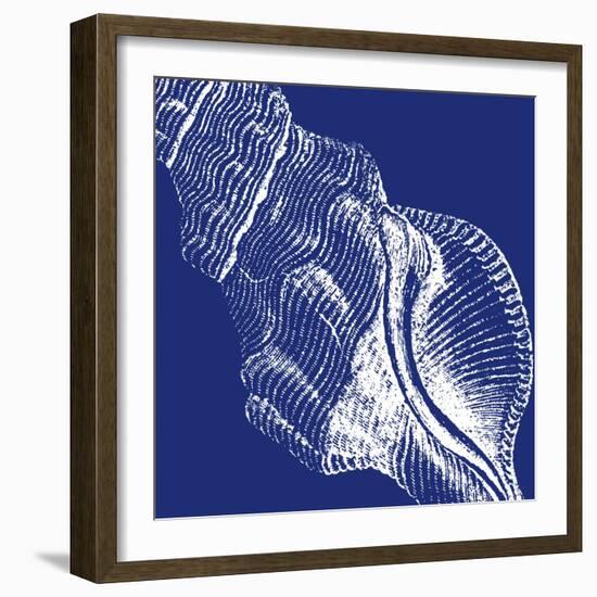 Saturated Shells III-Vision Studio-Framed Art Print