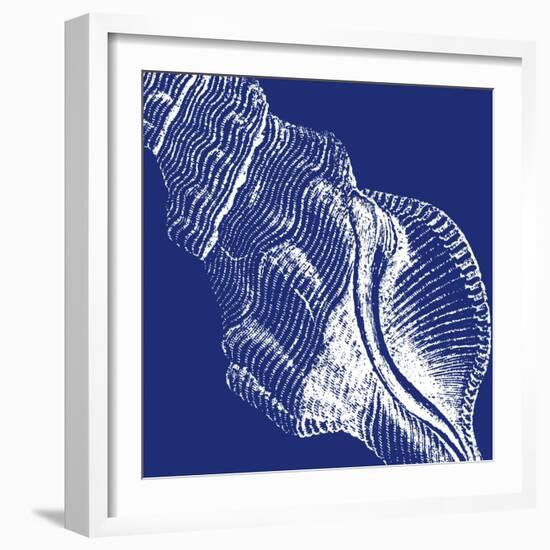 Saturated Shells III-Vision Studio-Framed Art Print