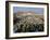 Saturday Market, St. Georges, Grenada, Windward Islands, West Indies, Caribbean, Central America-Sylvain Grandadam-Framed Photographic Print