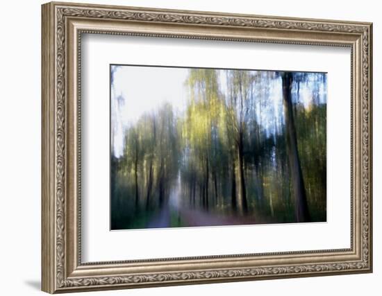 Saturday Sun-Jacob Berghoef-Framed Photographic Print