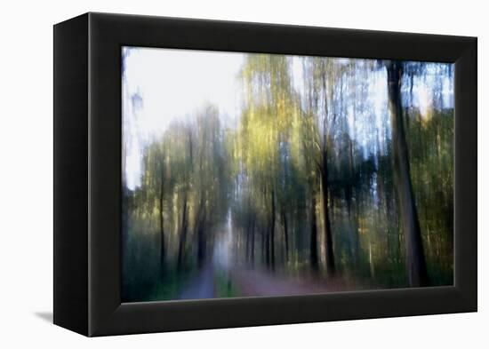 Saturday Sun-Jacob Berghoef-Framed Premier Image Canvas