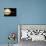 Saturn And Earth, Artwork-Walter Myers-Mounted Photographic Print displayed on a wall