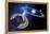 Saturn And Solar System-Detlev Van Ravenswaay-Framed Premier Image Canvas