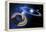 Saturn And Solar System-Detlev Van Ravenswaay-Framed Premier Image Canvas