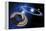 Saturn And Solar System-Detlev Van Ravenswaay-Framed Premier Image Canvas