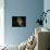 Saturn And Solar System-Detlev Van Ravenswaay-Framed Premier Image Canvas displayed on a wall