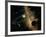 Saturn And Solar System-Detlev Van Ravenswaay-Framed Photographic Print