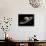 Saturn, Artwork-Walter Myers-Photographic Print displayed on a wall