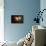 Saturn in Outer Space Against Sun and Star Field-null-Premium Giclee Print displayed on a wall