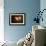 Saturn in Outer Space Against Sun and Star Field-null-Framed Premium Giclee Print displayed on a wall