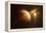Saturn in Outer Space Against Sun and Star Field-null-Framed Stretched Canvas