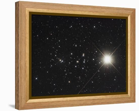 Saturn in the Beehive Star Cluster-null-Framed Premier Image Canvas