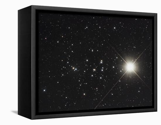 Saturn in the Beehive Star Cluster-null-Framed Premier Image Canvas