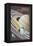 Saturn Midnight Zephyr-Steve Thomas-Framed Premier Image Canvas