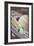 Saturn Midnight Zephyr-Steve Thomas-Framed Giclee Print