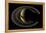 Saturn on the Final Frontier-null-Framed Premier Image Canvas