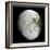 Saturn's Moon Iapetus-Stocktrek Images-Framed Photographic Print