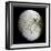 Saturn's Moon Iapetus-Stocktrek Images-Framed Photographic Print