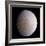 Saturn's Moon Rhea, Cassini Image-null-Framed Premium Photographic Print