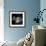 Saturn's Ring System-Detlev Van Ravenswaay-Framed Premium Photographic Print displayed on a wall