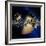 Saturn's Ring System-Detlev Van Ravenswaay-Framed Photographic Print